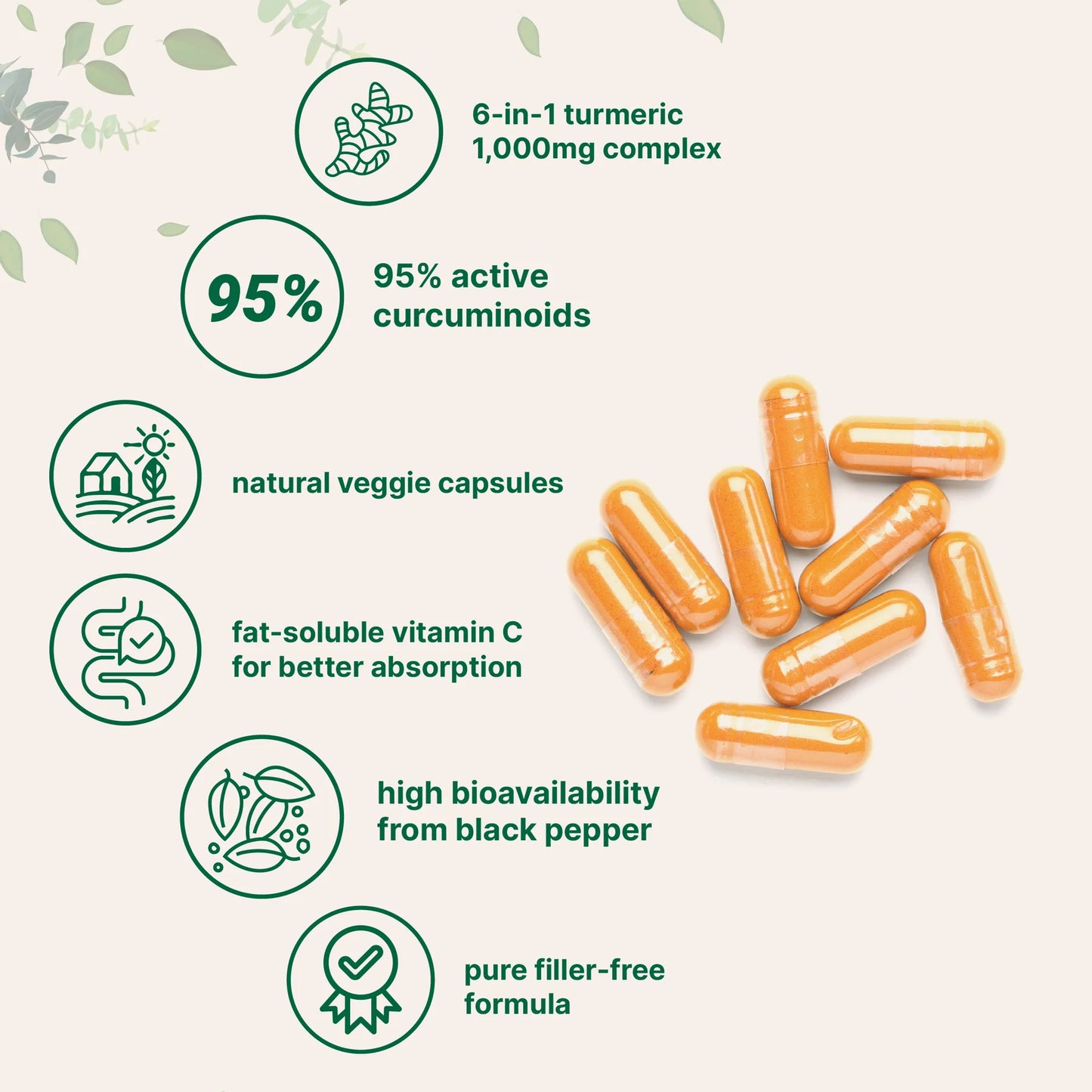 CoraLane™ 6-in-1 Turmeric Curcumin